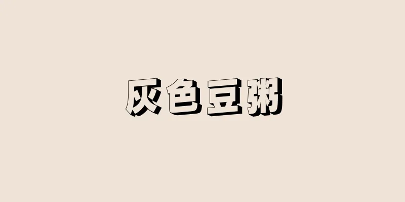 灰色豆粥