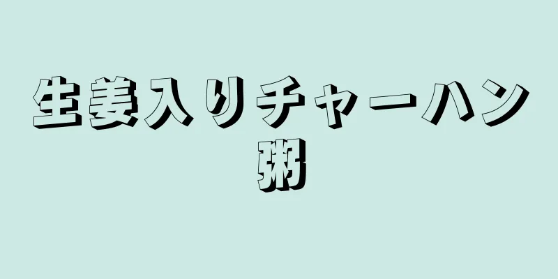 生姜入りチャーハン粥