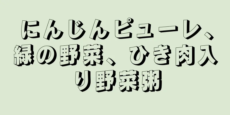 にんじんピューレ、緑の野菜、ひき肉入り野菜粥