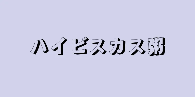 ハイビスカス粥