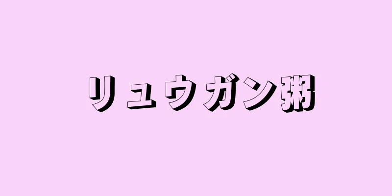 リュウガン粥