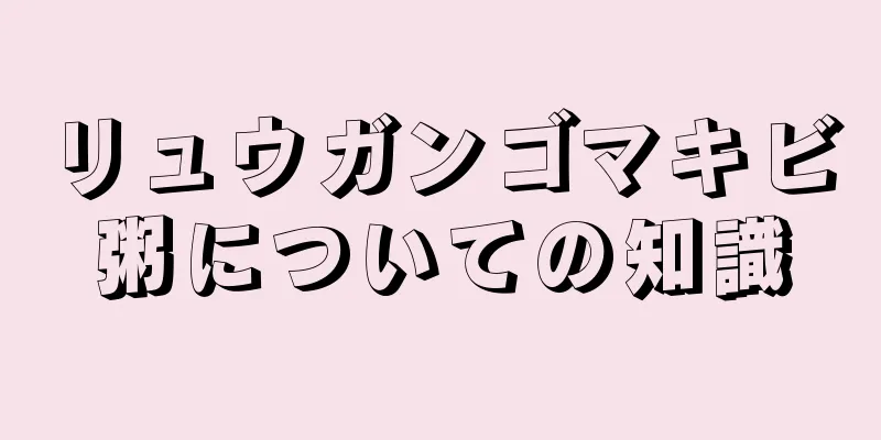リュウガンゴマキビ粥についての知識
