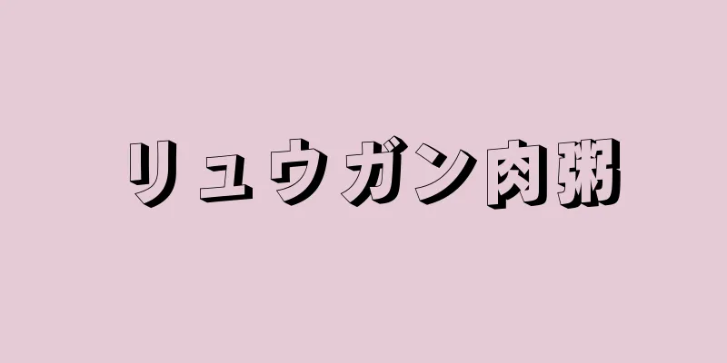 リュウガン肉粥
