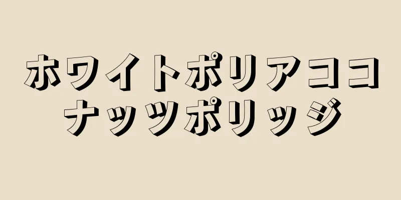 ホワイトポリアココナッツポリッジ