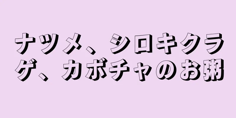 ナツメ、シロキクラゲ、カボチャのお粥