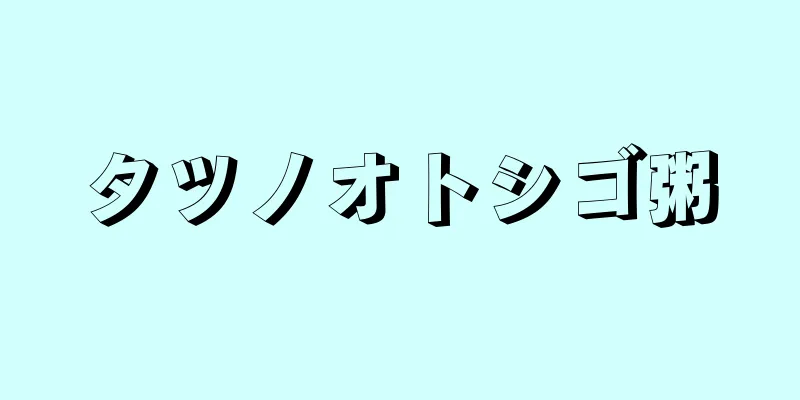 タツノオトシゴ粥
