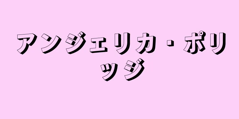 アンジェリカ・ポリッジ