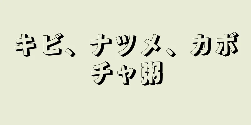 キビ、ナツメ、カボチャ粥