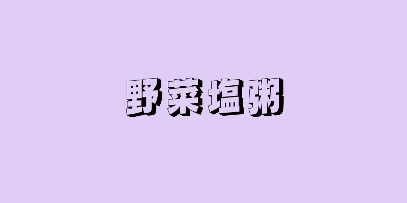 野菜塩粥