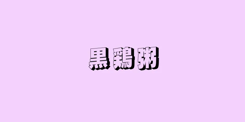 黒鶏粥