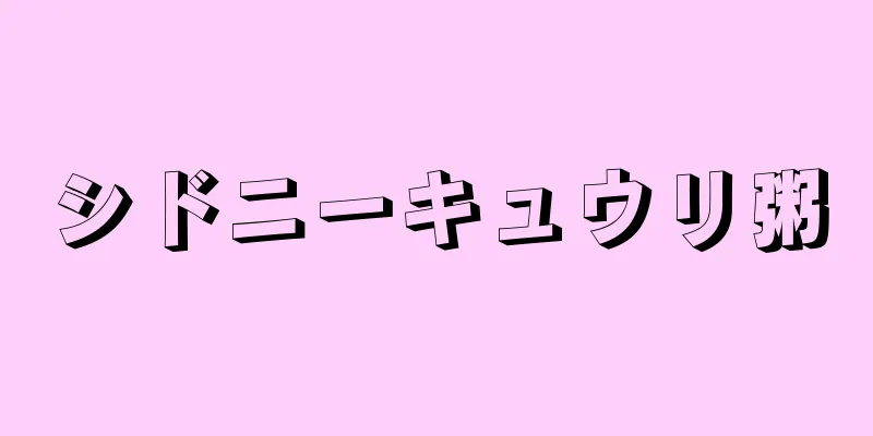 シドニーキュウリ粥