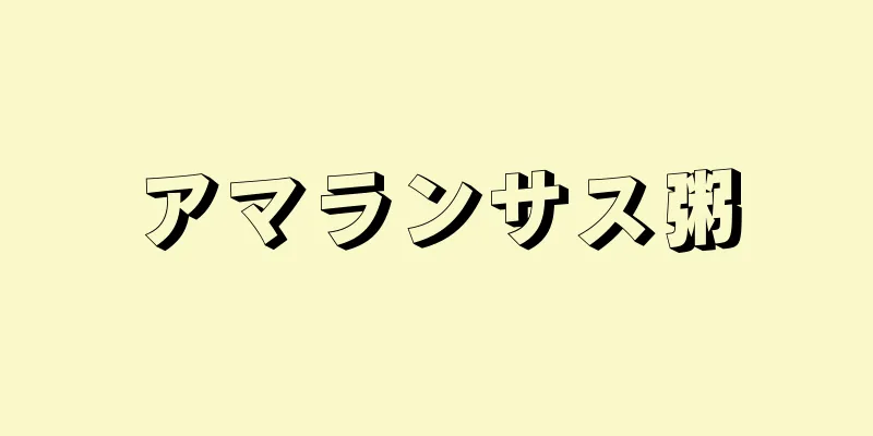 アマランサス粥