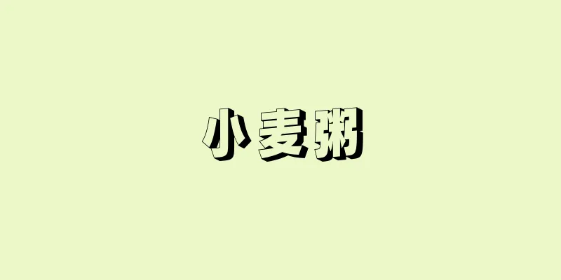 小麦粥