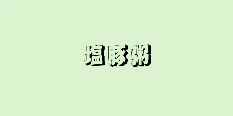 塩豚粥