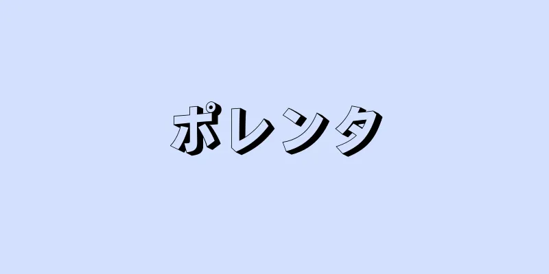 ポレンタ
