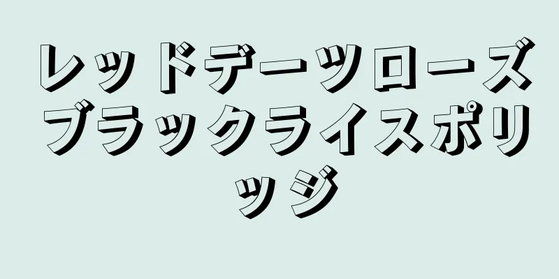 レッドデーツローズブラックライスポリッジ