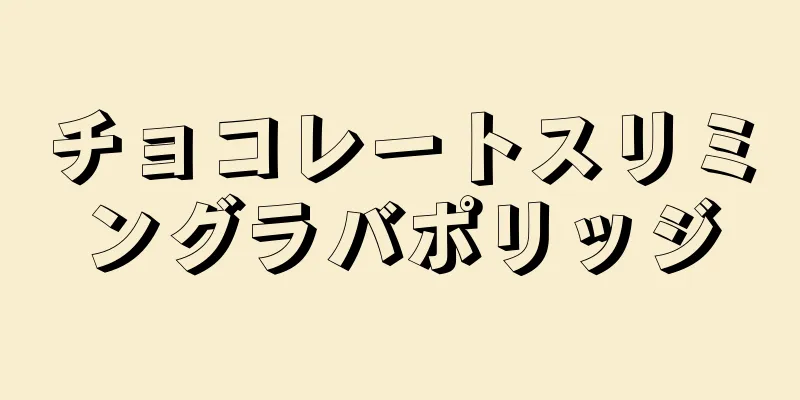チョコレートスリミングラバポリッジ