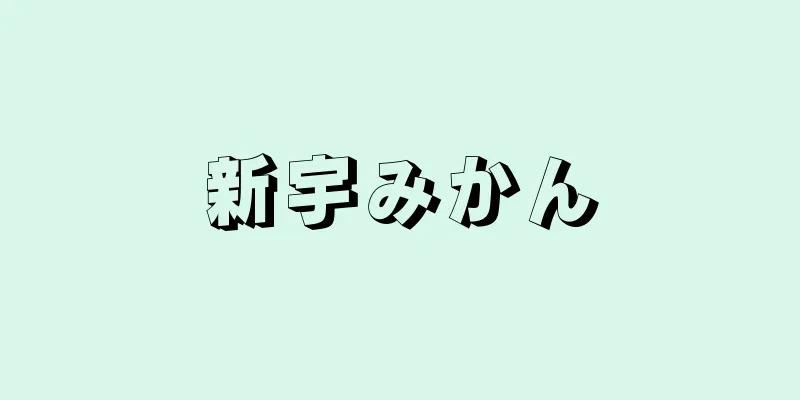 新宇みかん