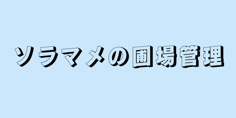 ソラマメの圃場管理