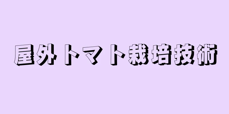 屋外トマト栽培技術
