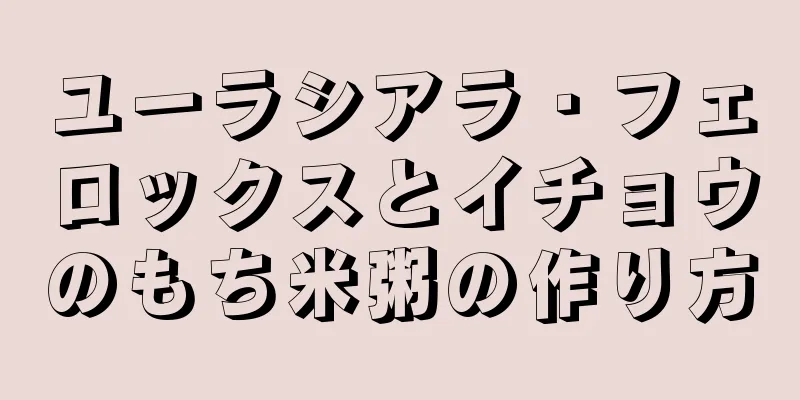 ユーラシアラ・フェロックスとイチョウのもち米粥の作り方