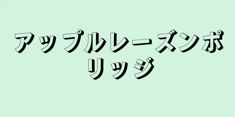 アップルレーズンポリッジ