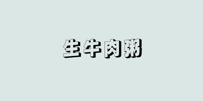 生牛肉粥