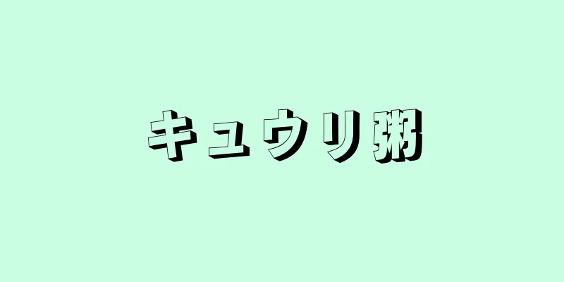 キュウリ粥