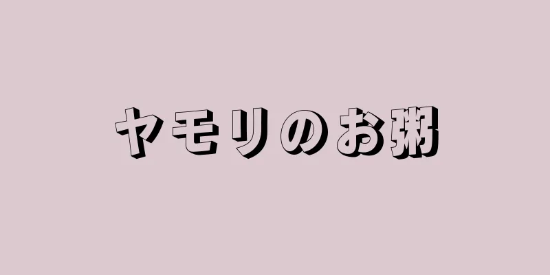 ヤモリのお粥