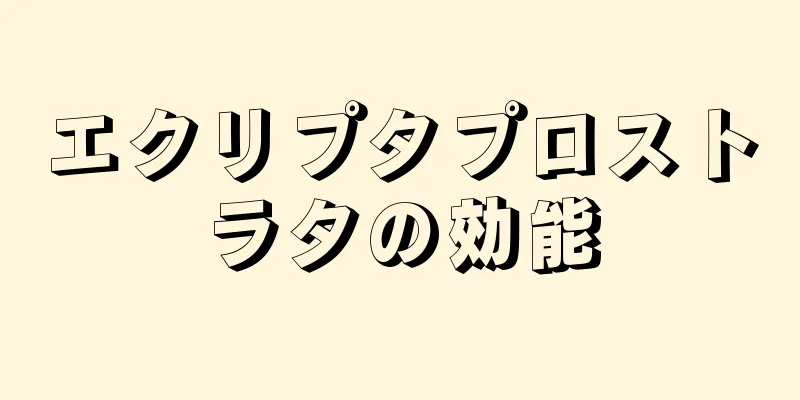 エクリプタプロストラタの効能