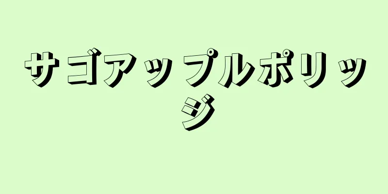 サゴアップルポリッジ