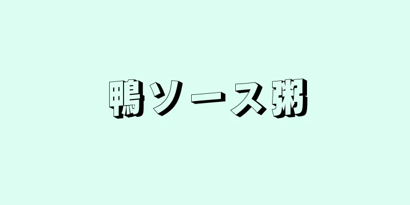 鴨ソース粥