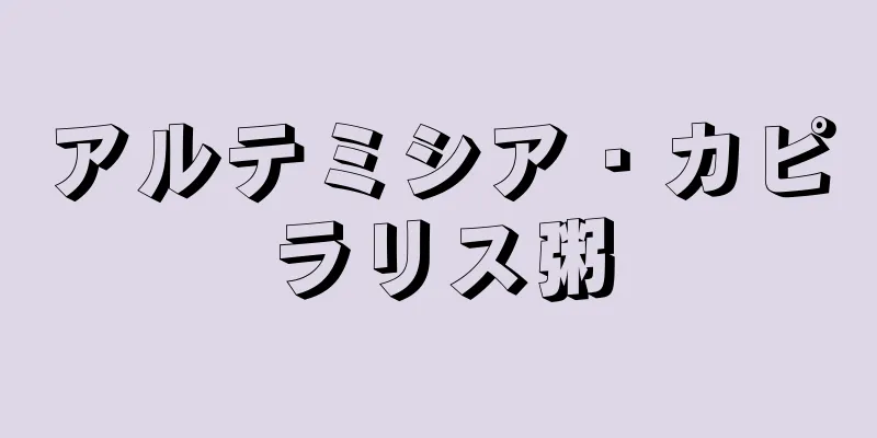 アルテミシア・カピラリス粥