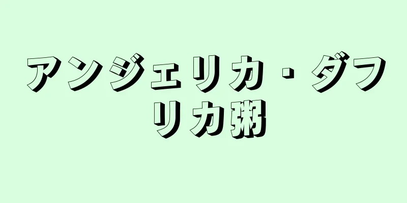 アンジェリカ・ダフリカ粥