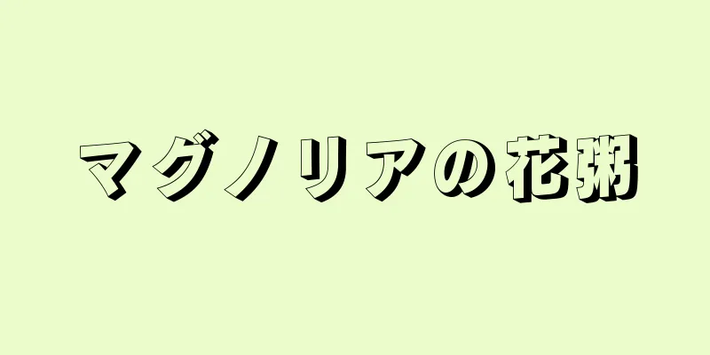 マグノリアの花粥