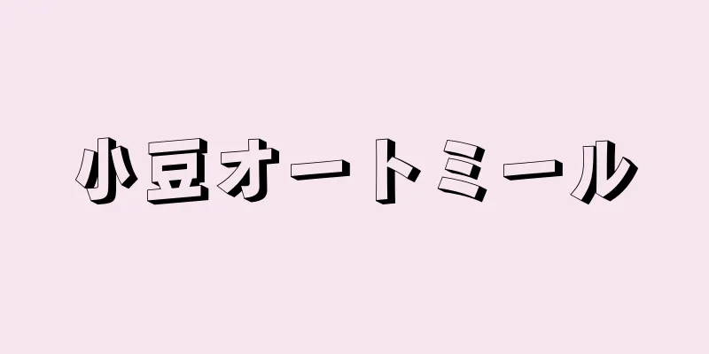 小豆オートミール