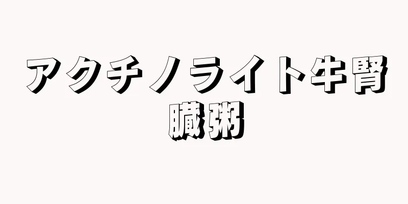 アクチノライト牛腎臓粥