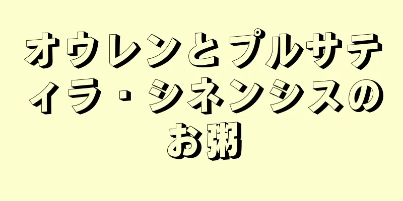 オウレンとプルサティラ・シネンシスのお粥
