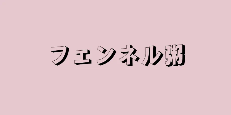 フェンネル粥