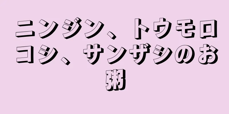 ニンジン、トウモロコシ、サンザシのお粥