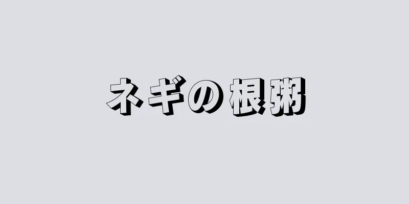 ネギの根粥