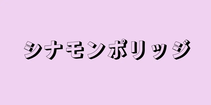 シナモンポリッジ