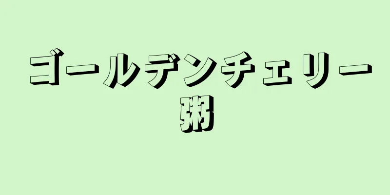 ゴールデンチェリー粥