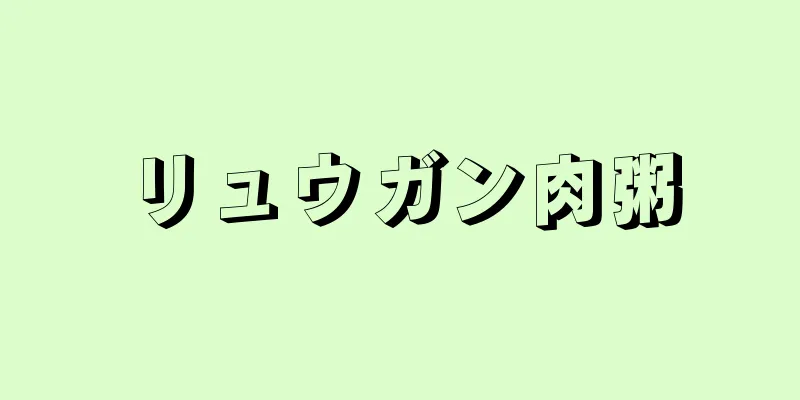 リュウガン肉粥