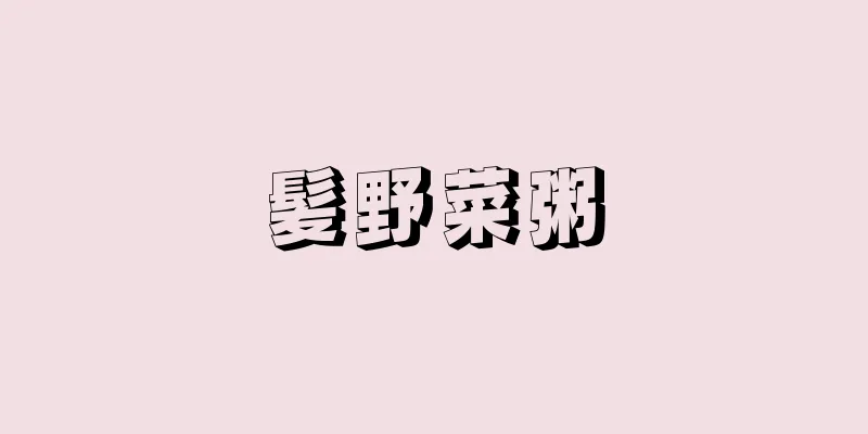 髪野菜粥