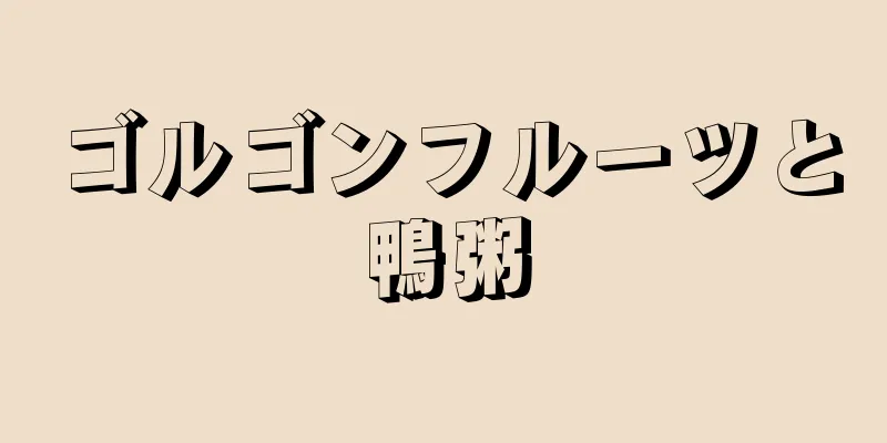 ゴルゴンフルーツと鴨粥
