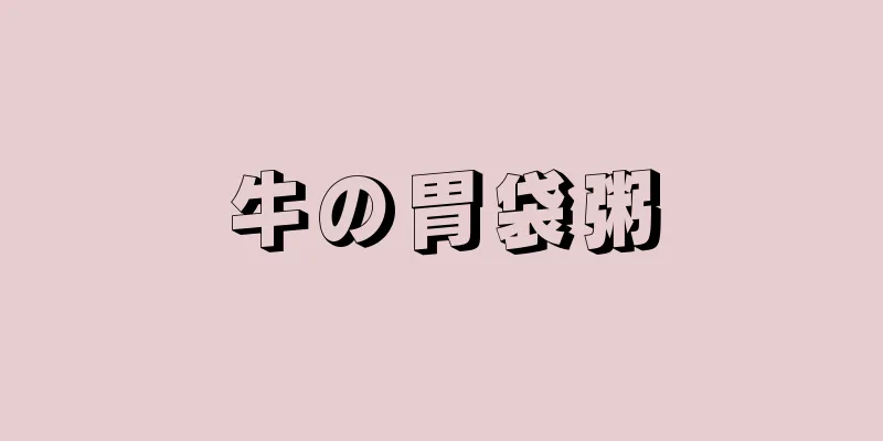牛の胃袋粥