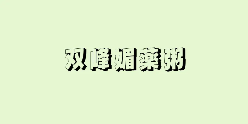 双峰媚薬粥
