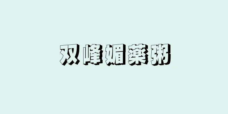 双峰媚薬粥