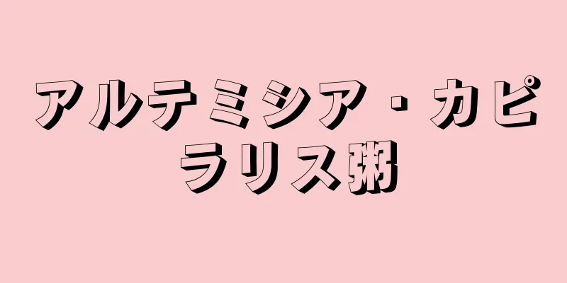 アルテミシア・カピラリス粥